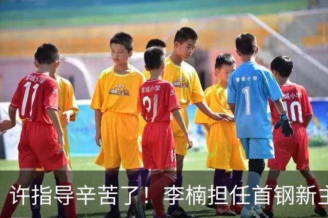 许指导辛苦了！李楠担任首钢新主帅 赵睿态度非争冠唯一障碍